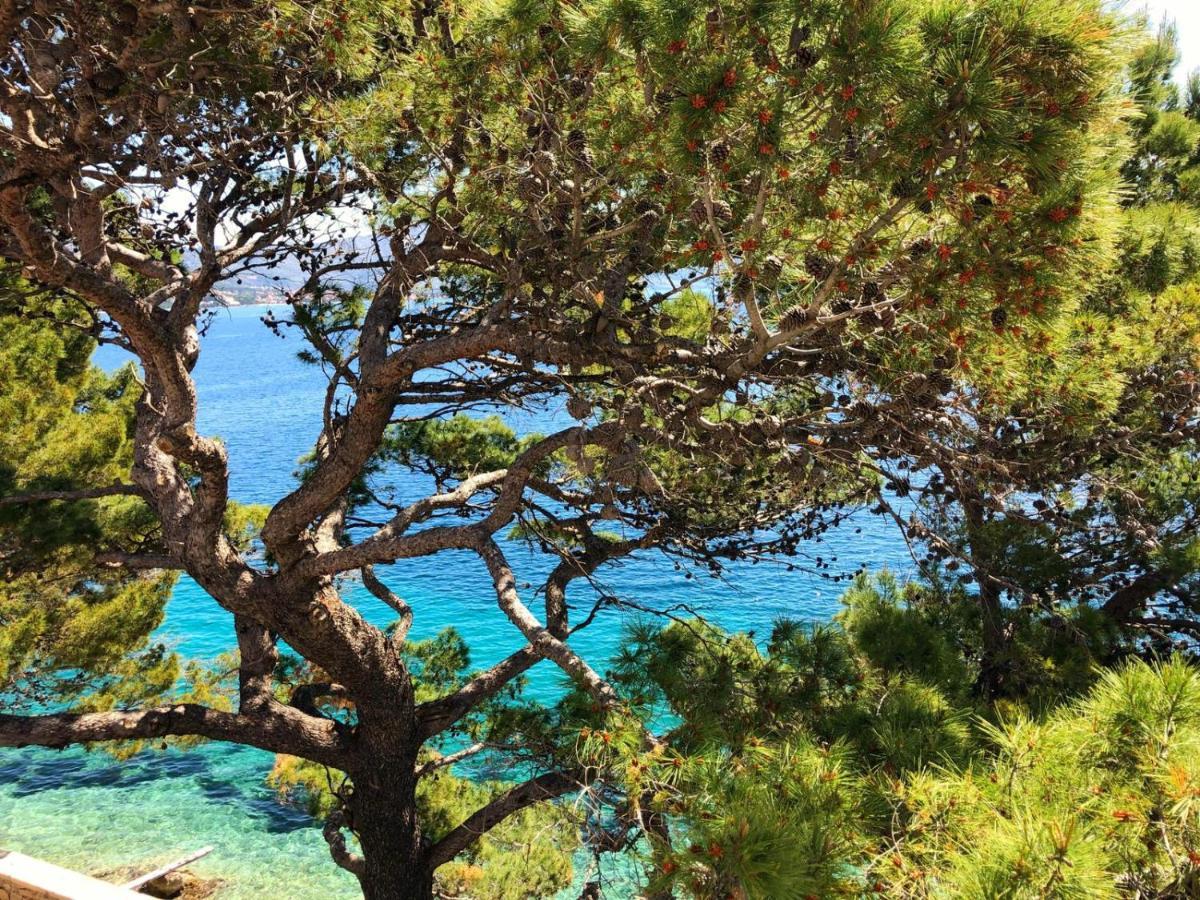 Sorelle * Korčula